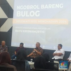 Jokowi Perintahkan Tumpuk Beras, Bulog Ungkap Fakta Terbaru