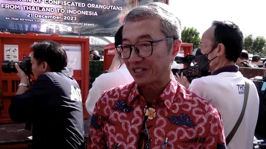 Petugas menyiapkan peti berisi orangutan untuk dipulangkan ke Indonesia, di Bandara Internasional Suvarnabhumi di Bangkok, Thailand, Kamis, 21 Desember 2023. Tiga orangutan sumatera yang diperdagangkan dipulangkan dari Thailand ke Indonesia pada Kamis sebagai bagian dari upaya bersama antar negara. untuk memberantas perdagangan satwa liar ilegal. (AP Photo/Jintamas Saksornchai)