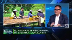 Video: El Nino Masih Menghantui, Ini Efeknya Pada Kopi RI