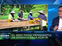 Video: El Nino Masih Menghantui, Ini Efeknya Pada Kopi RI