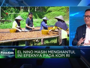 Video: El Nino Masih Menghantui, Ini Efeknya Pada Kopi RI