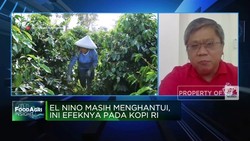 RI Punya Kebun Kopi Terluas, Produktivitas Kok Tertinggal?