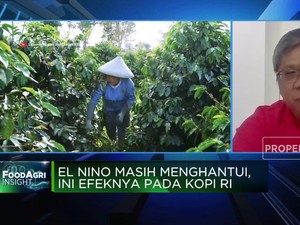 RI Punya Kebun Kopi Terluas, Produktivitas Kok Tertinggal?