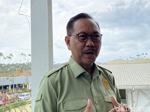 Bos Otorita IKN Buka Suara soal Lahan Bisa Dijual ke Investor