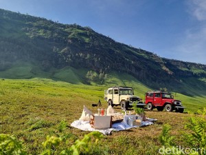 Pengalaman Piknik Estetik di Hamparan Karpet Hijau Bromo