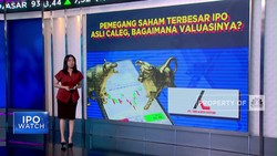 Saham Terbesar IPO ASLI Punya Caleg Ini, Gimana Valuasinya?