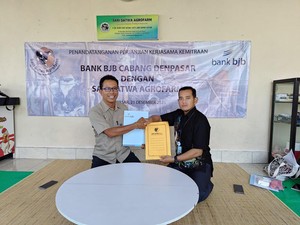 bjb Denpasar Gaet Sari Satwa Agrofarm Kembangkan UMKM Peternakan Sapi