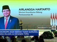 Ekonomi RI 2024 Ibarat Naik Gunung, Airlangga Ajak Koordinasi