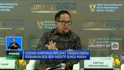 Kebut Transisi Energi, Pemerintah Beri Insentif Bunga Murah