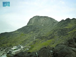 Pegunungan Makkah Makin Menghijau Kurun Waktu 5 Bulan Terakhir