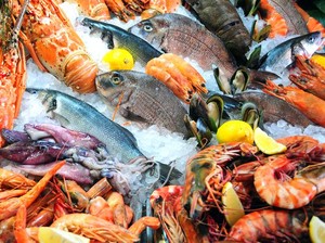 Ternyata Banyak Jenis Ikan dari Makanan Laut yang Terancam Punah, Kok Bisa Beredar?