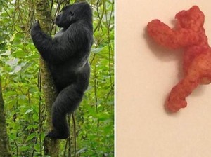 Gokil! Kepingan Cheetos hingga Sereal Dijual Miliaran Rupiah
