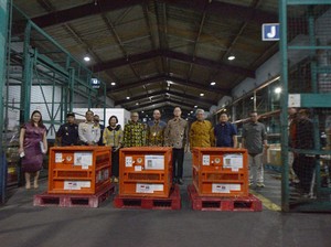 RI Pulangkan 3 Orang Utan Korban Perdagangan Ilegal dari Thailand