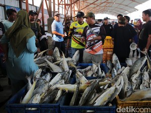 Indramayu Genjot Produksi Perikanan Lewat Ribuan Kapal dan Budi Daya