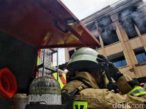 Damkar Evakuasi Pria Jatuh dari Pohon di Tepi Sungai Johar Baru Jakpus