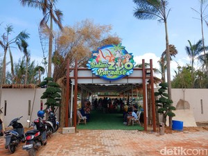 Serunya Akhir Pekan Bermain di Batam Zoo Paradise