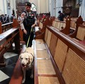 Jelang Misa Malam Natal, Gereja Katedral Disterilisasi
