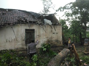 Rumah Rusak-Mobil Tertimpa Pohon Tumbang Imbas Angin Kencang di Blitar