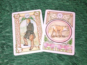 Tanya Jodoh dan Masa Depan Pekerjaan Menurut Tarot