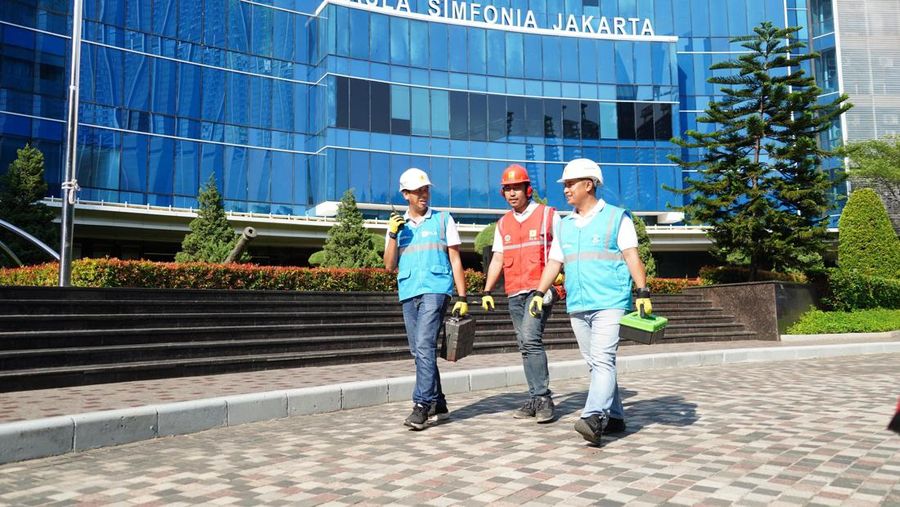 Perugas PLN