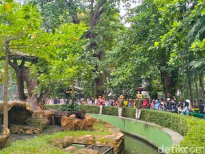 KBS Membeludak di Libur Natal, Siang Ini Sudah Ada 15 Ribu Pengunjung