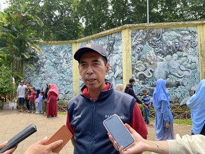 Viral Gorila Lempar Ranting ke Pengunjung, Ini Penjelasan Pihak Ragunan