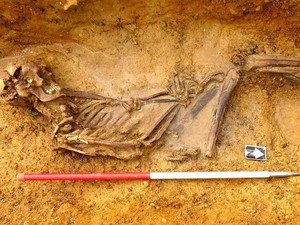 Detektif DNA Pecahkan Misteri Pemuda Nomaden Berusia 2.000 Tahun