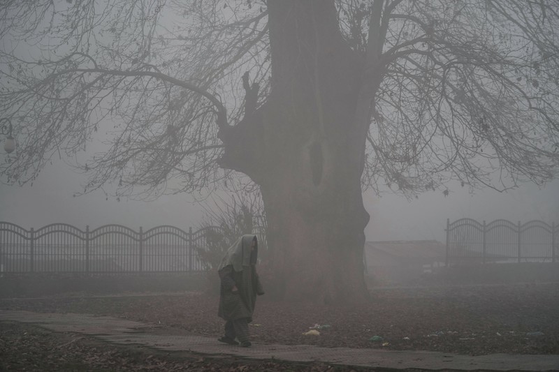 ASIA-WEATHER/INDIA-FOG Traffic moves along a highway shrouded in heavy smog in New Delhi, India, December 26, 2023. REUTERS/Anushree Fadnavis