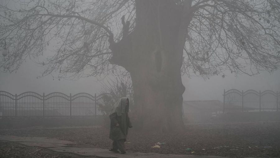 Traffic moves along a highway shrouded in heavy smog in New Delhi, India, December 26, 2023. REUTERS/Anushree Fadnavis