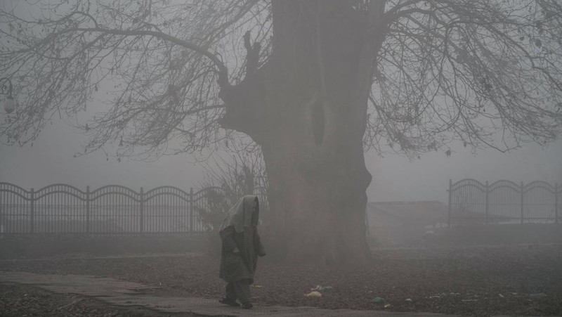 Traffic moves along a highway shrouded in heavy smog in New Delhi, India, December 26, 2023. REUTERS/Anushree Fadnavis