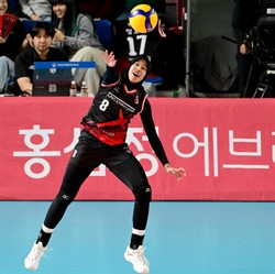 Makin Bersinar, Megawati Dilirik untuk Promosikan Ginseng Korea di RI