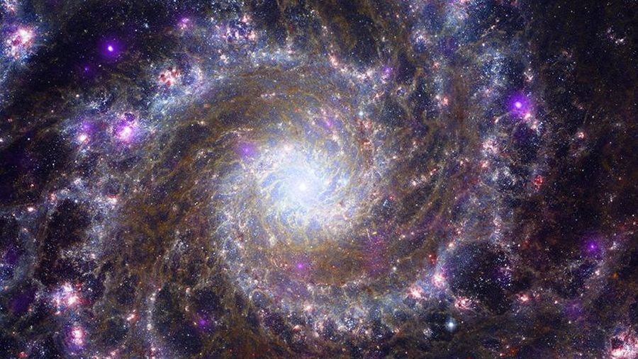 Intricate networks of gas and dust featured in the web-like spiral galaxy NGC 7496 are seen in a composite image taken by the James Webb Telescope and released by NASA on February 16, 2023. Eight red diffraction spikes extend out from its extremely bright core. Colorful dots in the background represent background galaxies. NASA/ESA/Handout via REUTERS   THIS IMAGE HAS BEEN SUPPLIED BY A THIRD PARTY