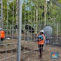 Elon Musk Boleh Masuk Papua Tapi Ada Syaratnya
