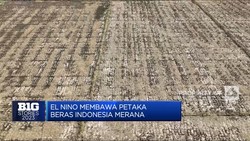 Video: El Nino Membawa Petaka Di 2023, Ini Efeknya Pada Beras