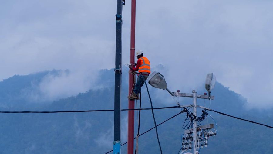 PLN