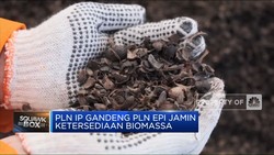 Uji Coba Sukses, PLN Operasikan 100% Biomassa Di PLTU Sintang