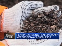 Uji Coba Sukses, PLN Operasikan 100% Biomassa Di PLTU Sintang