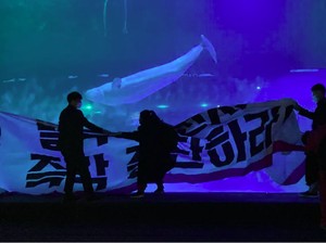 Bella, Paus Beluga yang Tengah Diperjuangkan Warga Korsel