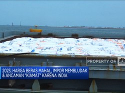 Video: Gara-Gara India, "Kiamat" Beras Ancam Dunia