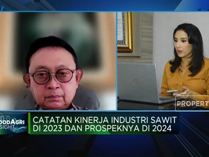 Kampanye Hitam & Harga Anjlok, Tantangan Bisnis Sawit 2024