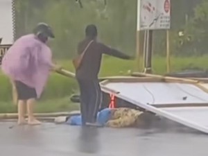 Viral Baliho Roboh Timpa Pemotor Hingga Terkapar di Badung