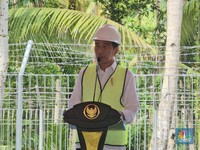 Whoosh! Jokowi Bikin Internet di RI Makin Cepat 10 Kali Lipat