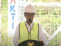Titah Jokowi: Siap-siap Bakal Ada 630 BTS 4G di Papua