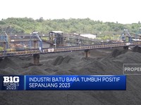 Kontribusi Batu Bara Belum Maksimal! Produsen Bilang Gini