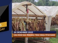 Cukai Rokok Naik Hingga PHK Dimana-Mana, Pengangguran AS Naik