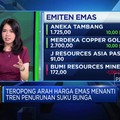 Teropong Harga Saham Emiten Emas 2024, Seberapa Menarik?