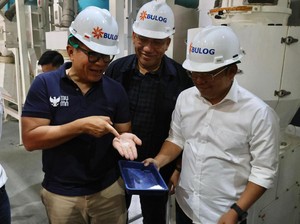 Cek Stok-Kualitas Beras Bulog, Wamen BUMN: Kutu Tak Ada Lagi
