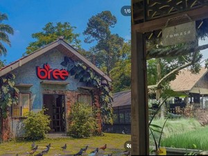 5 Kafe Nuansa Pedesaan di Bogor yang Asyik untuk Santai