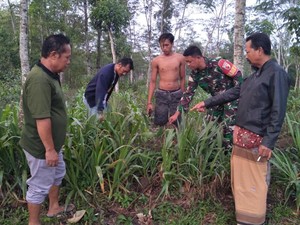 Bayi Masih Hidup Ditemukan di Persawahan Blitar, Diduga Baru Saja Dilahirkan