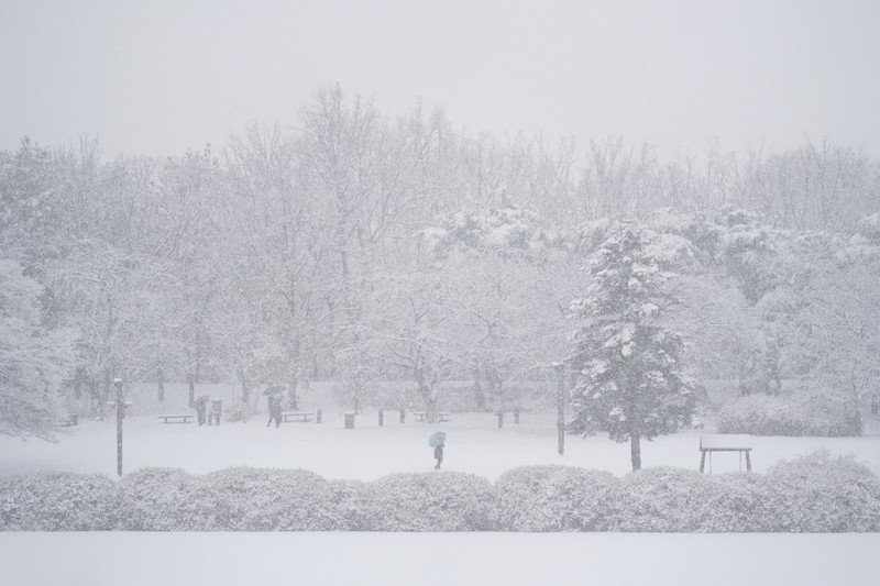 Visitors wearing traditional hanbok dress walk in the snow at Gyeongbokgung palace in central Seoul on December 30, 2023. Visitors wearing traditional hanbok dress walk in the snow at Gyeongbokgung palace in central Seoul on December 30, 2023. (JUNG YEON-JE/AFP via Getty Images)